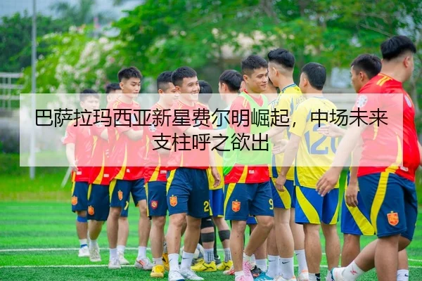 ba-sa-la-ma-xi-ya-xin-xing-fei-er-ming-jue-qi-zhong-chang-wei-lai-zhi-zhu-hu-zhi-yu-chu-2-570.jpg