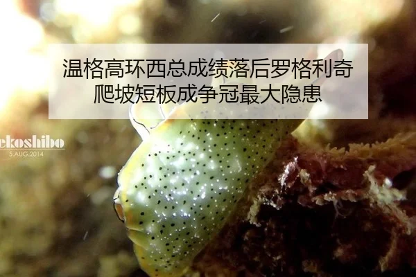 wen-ge-gao-huan-xi-zong-cheng-ji-luo-hou-luo-ge-li-qi-pa-po-duan-ban-cheng-zheng-guan-zui-da-yin-huan-2-172.jpg