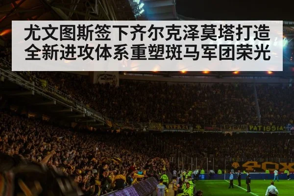 尤文图斯签下齐尔克泽莫塔打造全新进攻体系重塑斑马军团荣光